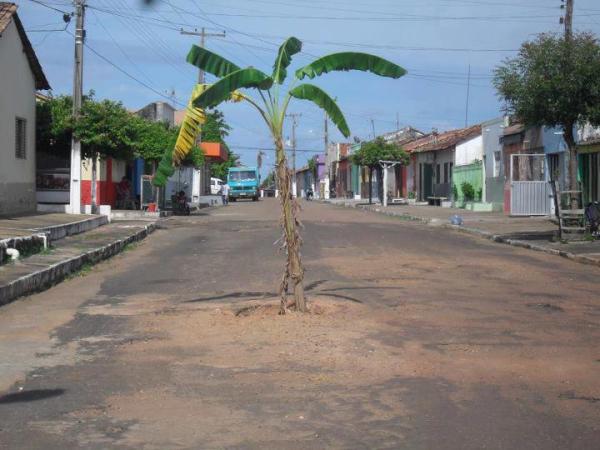 Plantio nas Ruas de Gonçalves Dias